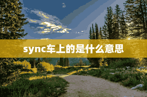 sync车上的是什么意思